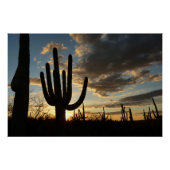 Saguaro Sunset II Arizona Wüste Landschaft Poster (Vorderseite)