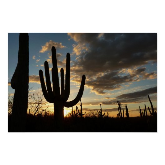 Saguaro Sunset II Arizona Wüste Landschaft Poster (Vorderseite)
