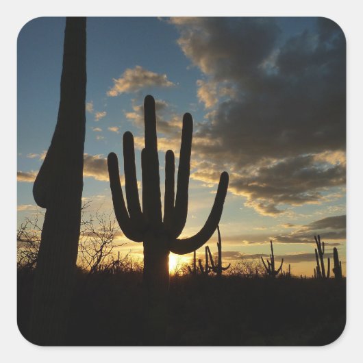 Saguaro Sunset II Arizona Wüste Landschaft Quadratischer Aufkleber (Vorderseite)