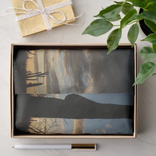 Saguaro Sunset II Arizona Wüste Landschaft Seidenpapier (Geschenk)