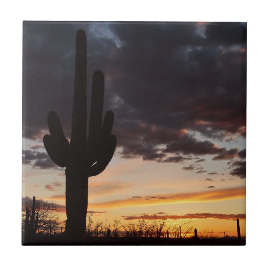 Saguaro Sunset III Arizona Wüste Landschaft Fliese (Vorderseite)
