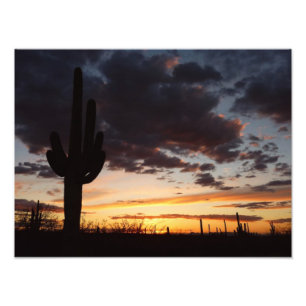Saguaro Sunset III Arizona Wüste Landschaft Fotodruck