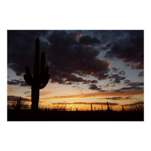 Saguaro Sunset III Arizona Wüste Landschaft Poster