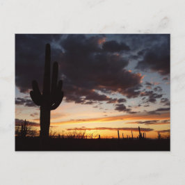 Saguaro Sunset III Arizona Wüste Landschaft Postkarte