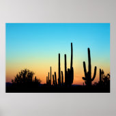 Saguaro Sunset Poster (Vorne)