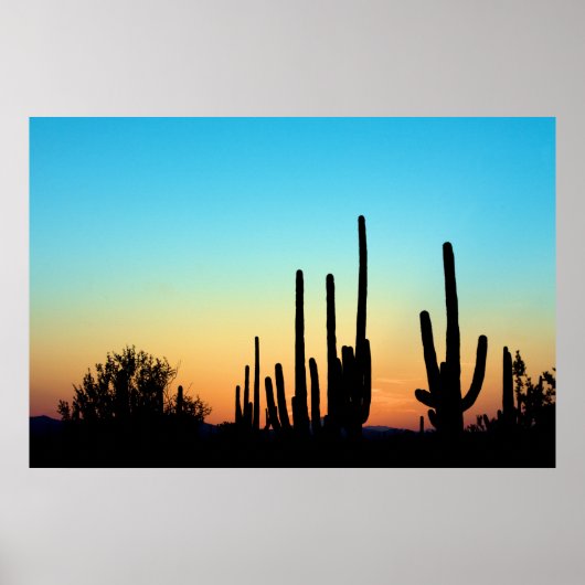 Saguaro Sunset Poster (Vorne)