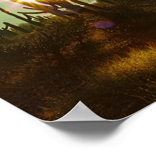 Saguaro Sunstar Poster (Ecke)