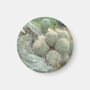 Saguaro Swirl Cactus Kühlschrank Gift Magnet