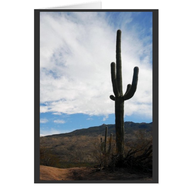 "Saguaro Vista" (Vorne)
