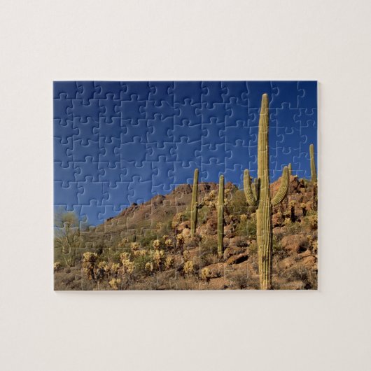 Saguarokakteen und Tucson-Berge, Tucson Puzzle (Horizontal)