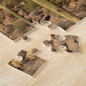 Saguarokakteen und Tucson-Berge, Tucson Puzzle (Seite)