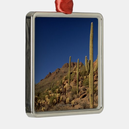 Saguarokakteen und Tucson-Berge, Tucson Silbernes Ornament (Rechts)