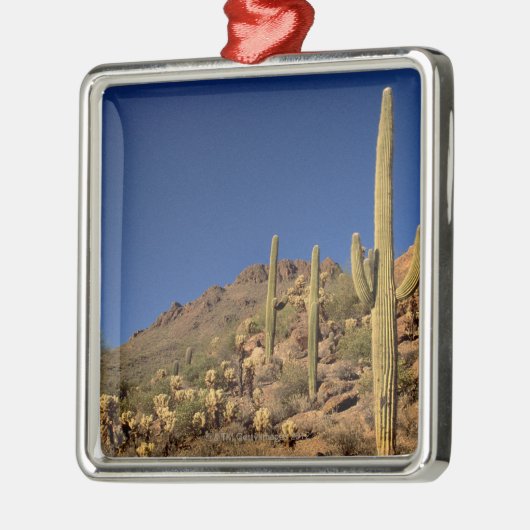 Saguarokakteen und Tucson-Berge, Tucson Silbernes Ornament (Links)