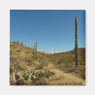 Saguaro's Carillo Trail im Saguaro National Park Magnet