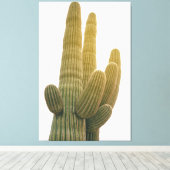 Saguaros Leinwanddruck (Insitu (Holzboden))