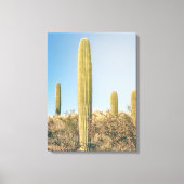 Saguaros Leinwanddruck (Vorderseite)