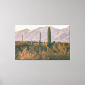 Saguaros Leinwanddruck (Vorderseite)