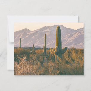 Saguaros Nationalpark Landschaftslandschaft Postkarte