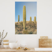 Saguaros Poster (Küche)