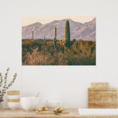 Saguaros Poster (Küche)