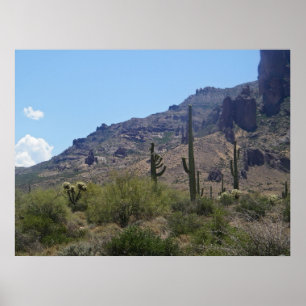 Saguaros und Gebirge Poster