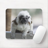 Saguinus oedipus mousepad (Mit Mouse)
