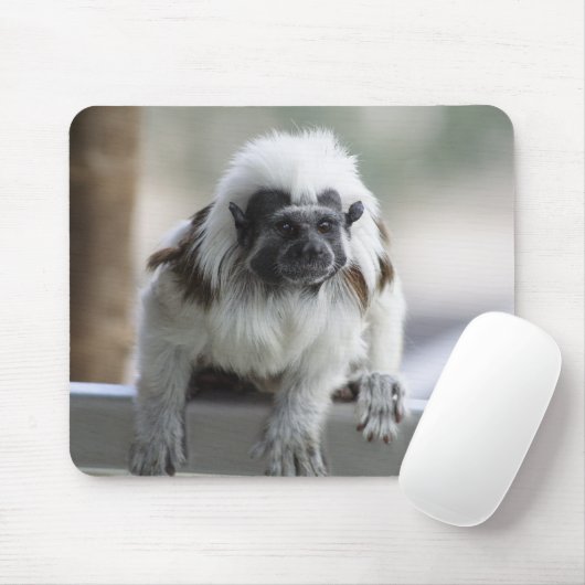 Saguinus oedipus mousepad (Mit Mouse)