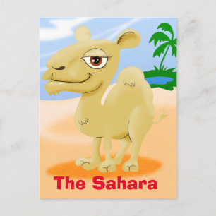 Sahara Cartoon Camel Postkarte
