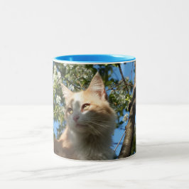 Sahara Cat Wrap Um Tasse