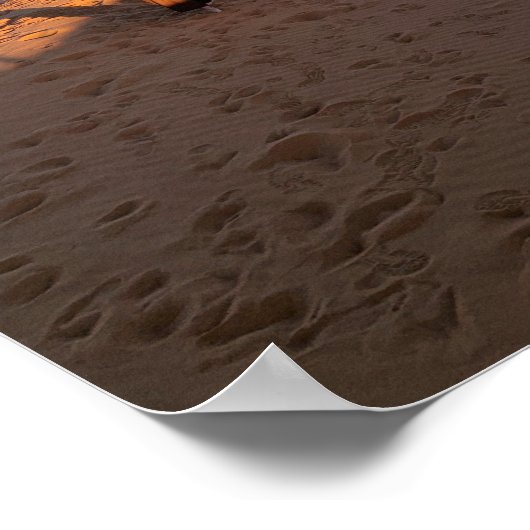 Sahara Desert Poster (Ecke)