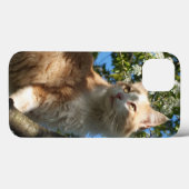 Sahara-Katze in einem iPad-Fall Case-Mate iPhone Hülle (Rückseite (Horizontal))