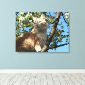 Sahara-Katze in einem Kirschbaum umhüllte Canvas Leinwanddruck (Insitu (Holzboden))
