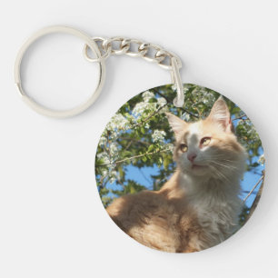 Sahara-Katze in einer Baumschlüsselkette Schlüsselanhänger