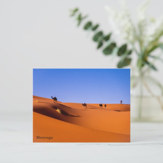 Sahara Merzouga am frühen Morgen Postkarte (Stehend Vorderseite)