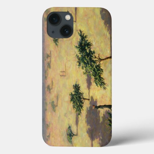 Sahelian Landschaft Mali 1991 Case-Mate iPhone Hülle (Rückseite)