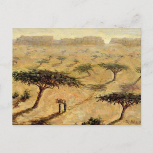 Sahelische Landschaft 2002 Postkarte (Vorderseite)