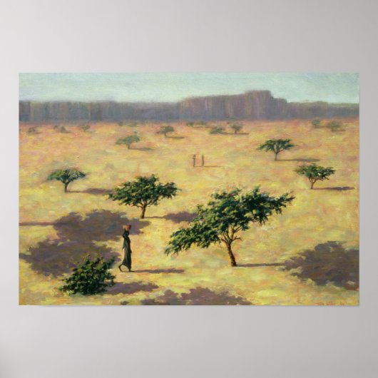 Sahelische Landschaft Mali 1991 Poster (Vorne)