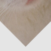 Sahne-Kätzchenpapier Seidenpapier (Detail)