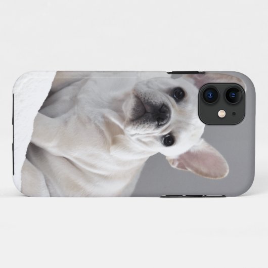 SahneFrenchie Case-Mate iPhone Hülle (Rückseite (Horizontal))