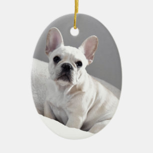 SahneFrenchie Keramikornament