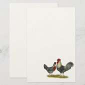 SahneLegbar Hühner Briefpapier (Vorne/Hinten)