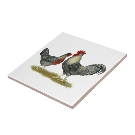 SahneLegbar Hühner Fliese (Seite)