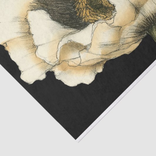 Sahnemohnblumen-Blume auf schwarzem Hintergrund Seidenpapier (Ausschnitt)