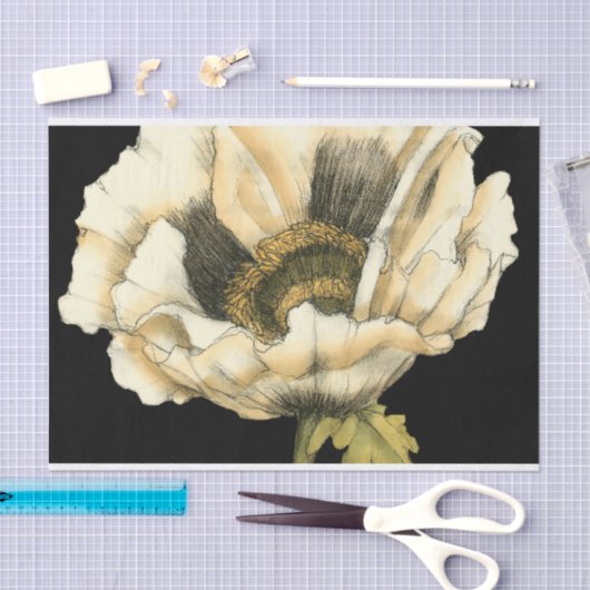 Sahnemohnblumen-Blume auf schwarzem Hintergrund Seidenpapier (Handwerk)