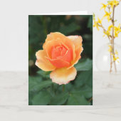 Sahnige orange moderne Rose Karte (Gelbe Blume)