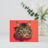 Saiberische Katze Postkarte (Stehend Vorderseite)