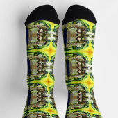 Said, um die gesamte Idee einzubringen Socken (Oben)