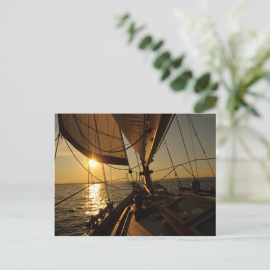 Sailboat Deck, Heading Into Setting Sun Postkarte (Stehend Vorderseite)