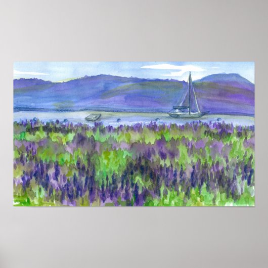 Sailboat Lila Lupines Aquarellmalerei Poster (Vorne)