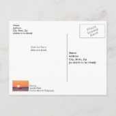 Sailboat Sonnenaufgang Denken Sie an Sie Postkarte (Rückseite)